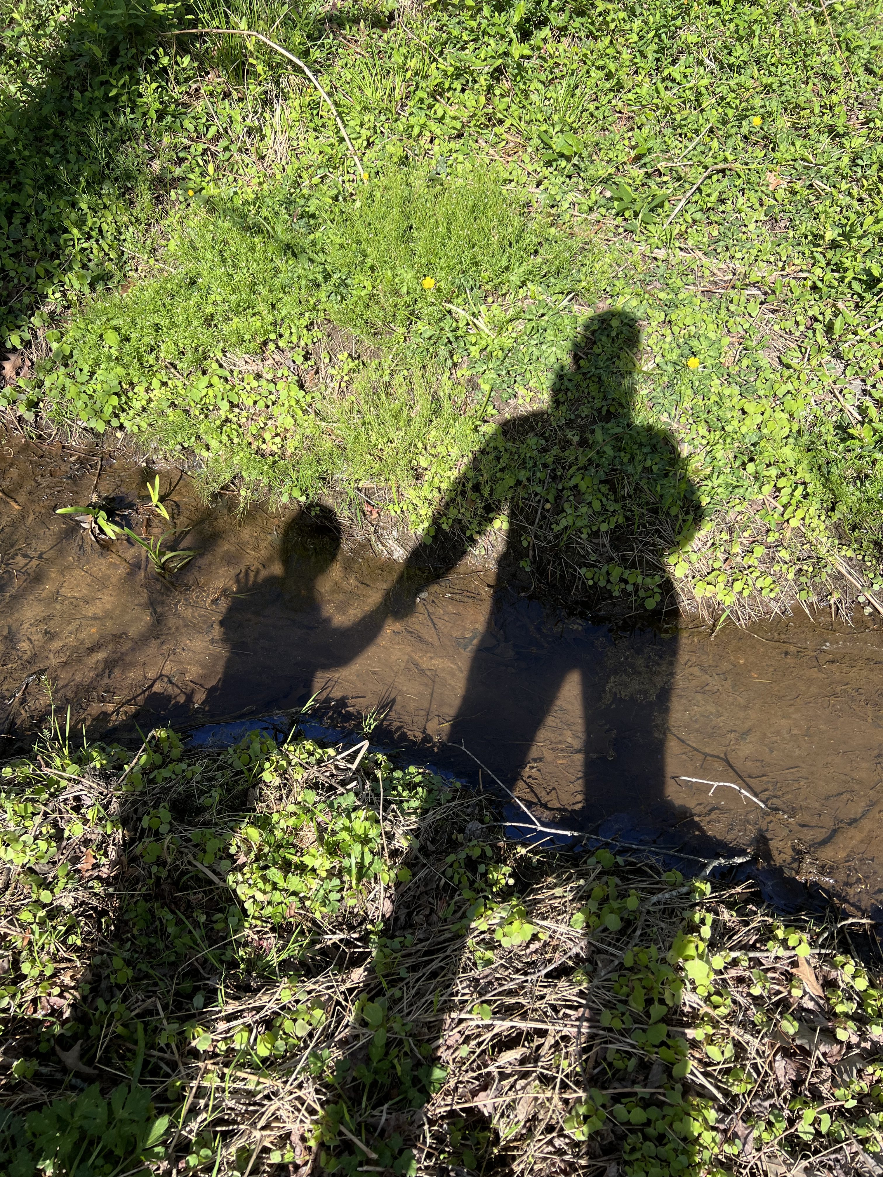 Shadows of an adult and young child holding hands beside a shallow stream on a sunny day.